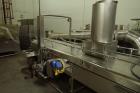 Apv Heat And Control Fryer